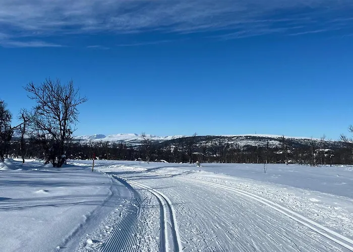 Amazing In With Sauna Ron